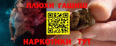 сатива Аргун