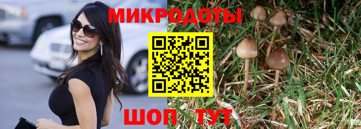 Галлюциногенные грибы MAGIC MUSHROOMS Асино