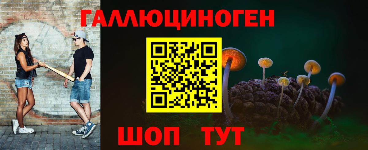 Псилоцибиновые грибы Psilocybe  Вход с VPN  Галлюциногенные грибы ЛСД  Асино 